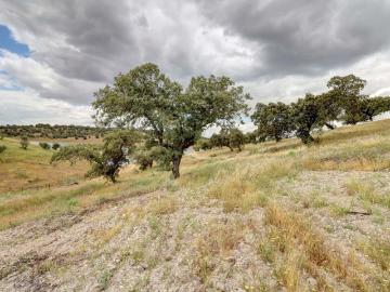Póvoa de São Miguel, Moura, Distrito de Beja