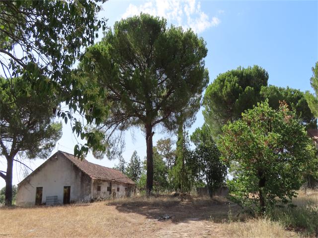 Herdade / Quinta com 12 Hectares com Casa Senhorial e Muitas Construções para recuperar com 1.322m2. Muitas árvores e muitas auto água. Propriedade única na área. Muito calmo e Peaceful.Perfect para cavalos / Turismo e outros