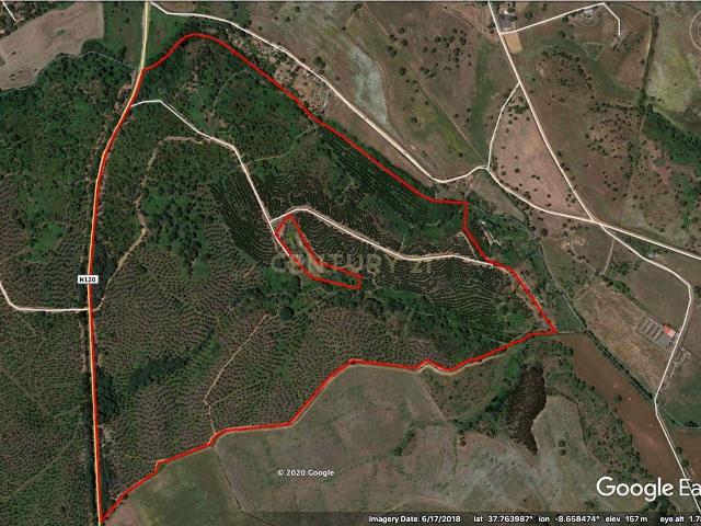Herdade Raco de Baixo S. Luís Nascente