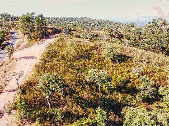 HERDADE SANTIAGO DO CACÉM