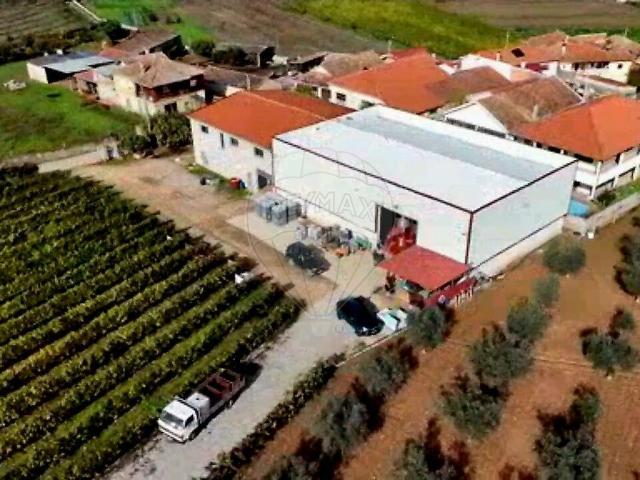 Herdade T4 à venda em Rio Torto, Valpaços RE/MAX Portugal
