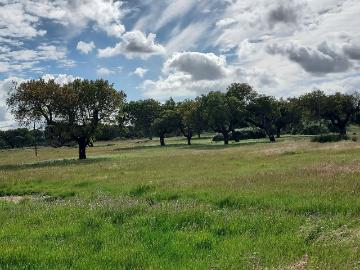 Herdade T0 à venda em Elvas