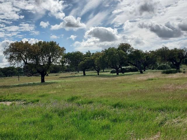 Herdade T0 à venda em Elvas