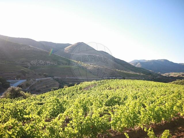 Herdade T1 à venda em Seixas, Vila Nova de Foz Côa RE/MAX Portugal