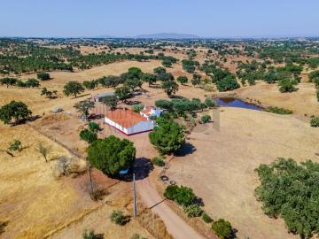Herdade T3 em Serpa Excelente oportunidade no Alentejo 100m² Aldeia Nova De São Bento