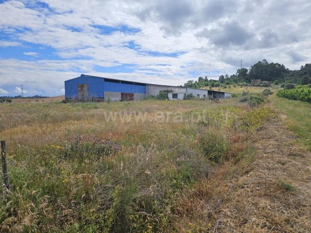 Herdade T3 / Fundão, Catrão