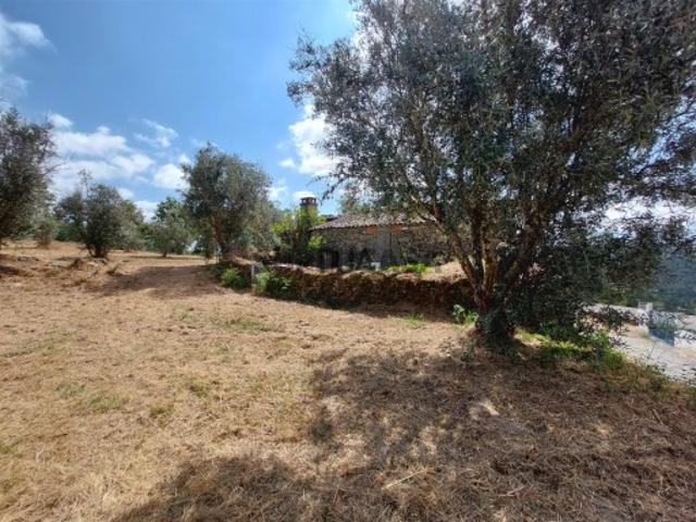 Herdade Venda em Fornos de Algodres,Fornos de Algodres