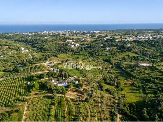 Quinta e Vinha perto do Mar | Algarve Ocidental, Portugal m² Porches