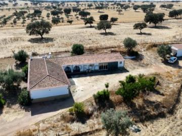 Albernoa e Trindade, Beja, Distrito de Beja