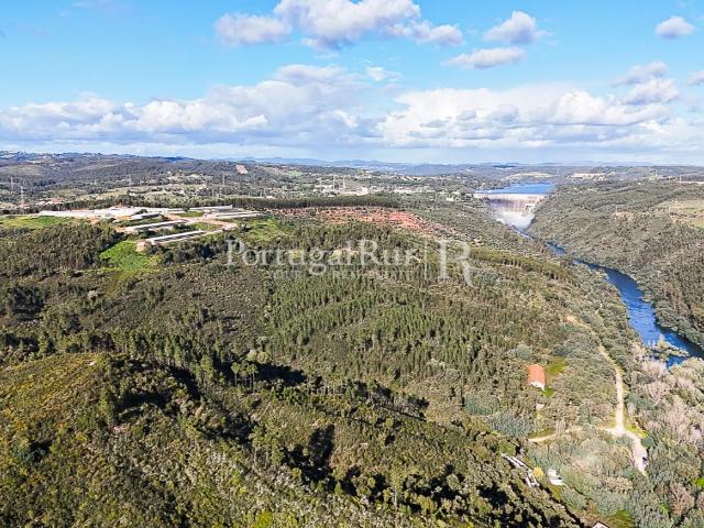 Herdade com 227 ha junto à Albufeira de Castelo de Bode 195m² São pedro de tomar
