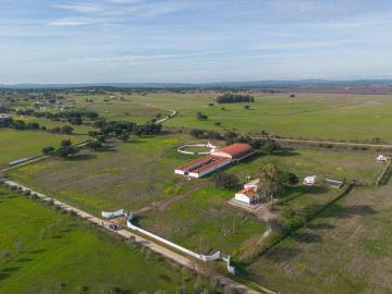 Herdade, 3 quartos, Viana do Alentejo, Viana do Alentejo m² Viana Do Alentejo