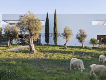 Ilhas, Arraiolos, Concelho de Arraiolos, Distrito de Évora