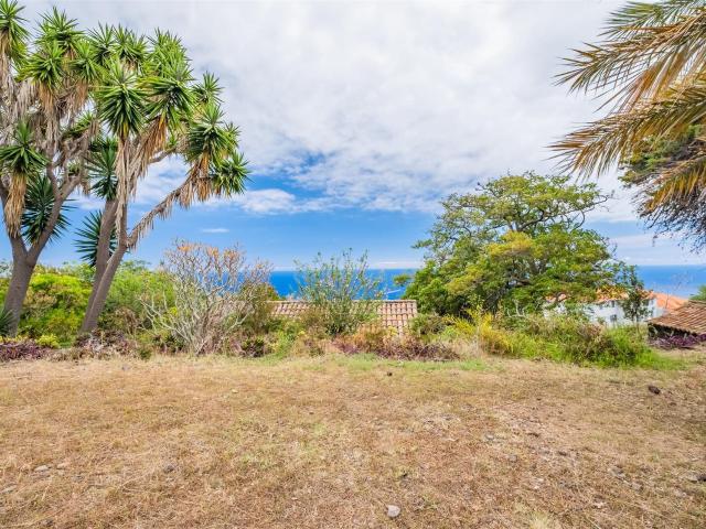 Herdade, 5 quartos, Santa Cruz, Garajau m² Caniço