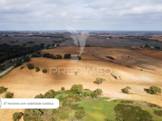 Herdade 67ha Cercal do Alentejo, viável turismo
