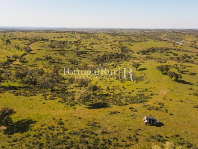 Herdade 800 hectares | 3 Barragens | Monte | Cortiça | Rpb d. 100m² Safara e Sabto Aleixo da Restauração