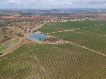 Herdade 96.5 ha, Ciladas, Vila Viçosa
