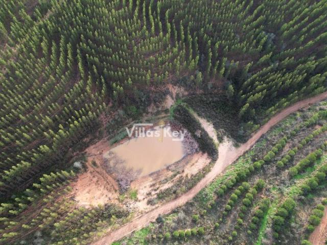 Herdade/Terreno, com viabilidade de construção em Odemira. 0m² Odemira santa maria