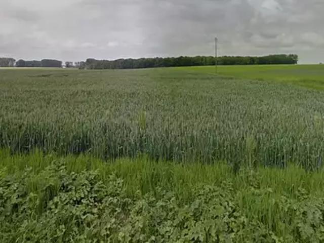 Héricourt en Caux 76560 Programme neuf maison neuf à vendre 5 pièces
