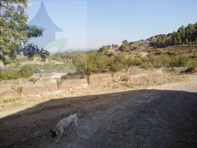 Hermita con parcela