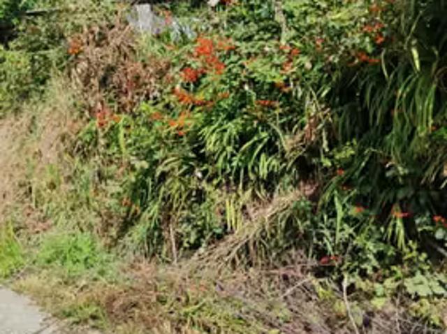 Hermosa cabaña en Bahía Mansa, Sector Costero Décima Región | 2 dormitorios por 42000. 00 en San Juan de La Costa