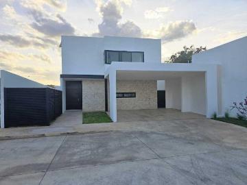 Temozon Norte, Mérida Yucantán, Yucatan