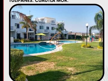 Hermosa Casa en Renta CUAUTLA MORELOS Residencial Tulipanes, col. Paraíso, atrás de Brisas de Cuau