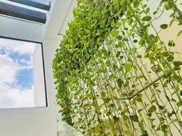 Hermosa Casa En Renta Dentro Vía Cumbres Cancún
