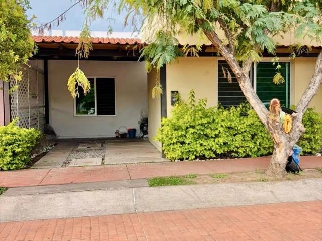 Hermosa casa en renta en pedregal del gigante | frente a áre