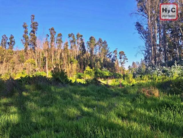 Hermosa Parcela con proyección habitacional o turistico | 1 dormitorios por 3100.00 en Chile
