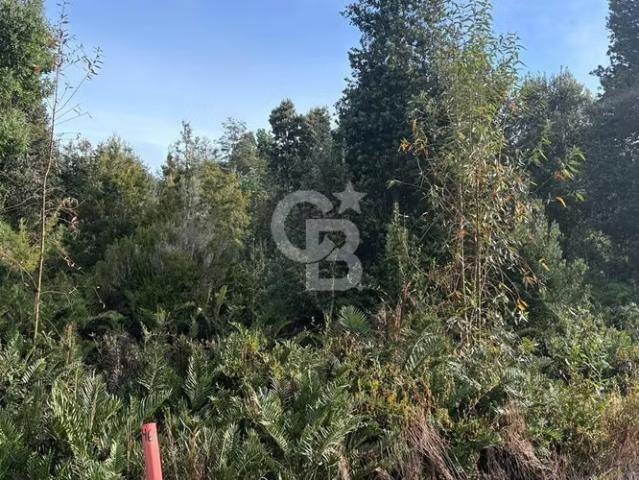 Hermosa Parcela Cercana al Aeropuerto El Tepual | 0 dormitorios por 45000. 00 en Puerto Montt