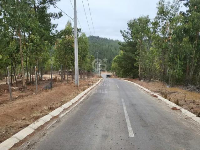 Hermosa Parcela de 2 hectareas Valle Alegre | 0 dormitorios por 80000. 00 en Quintero