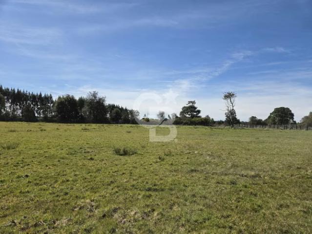 Hermosa parcela en frutillar | 0 dormitorios por 130000. 00 en Frutillar