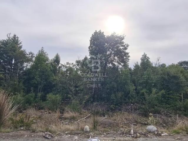Hermosa Parcela Sector Colonia 3P Luz y Agua | 0 dormitorios por 62000. 00 en Puerto Varas