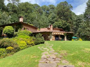 Pinera, Uruapan, Michoacan de Ocampo - Jardín