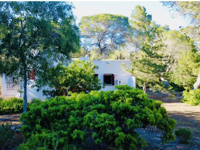 HERMOSA VILLA PASOS DE LA PLAY CALA SAONA FORMENTERA