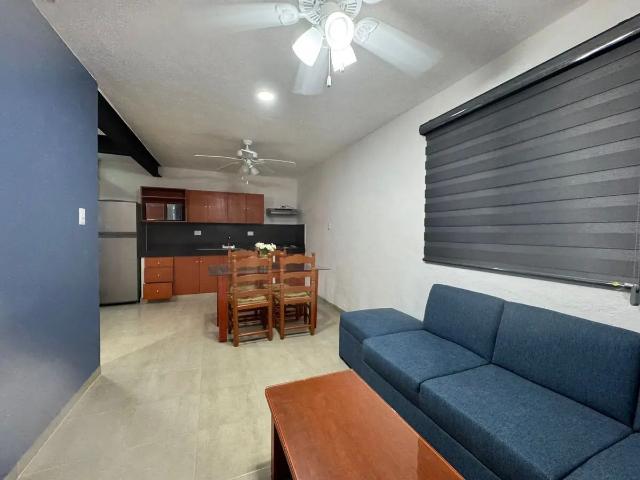Hermoso depto Recien remodelado. en el norte, totalmente amueblado