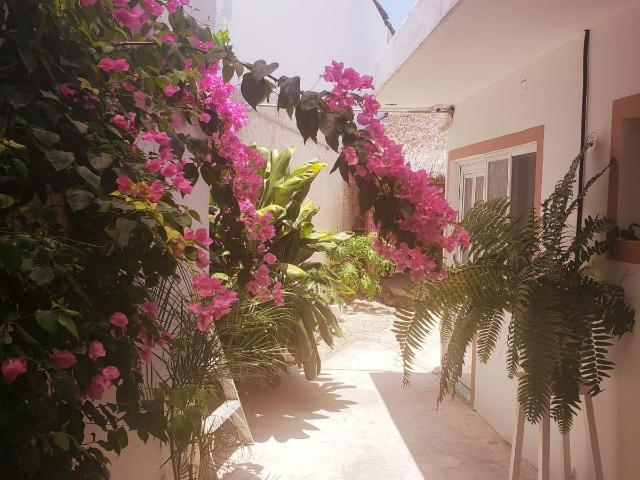 HERMOSO ESTUDIO EN RENTA MERIDA CENTRO LA PLANCHA GRD 1081