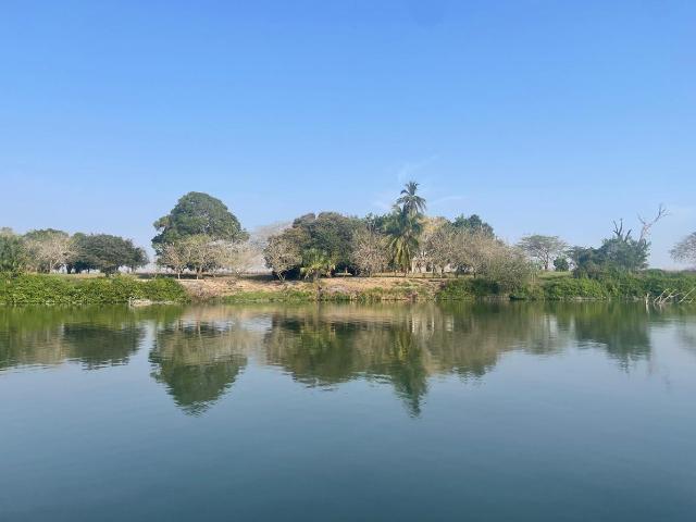 HERMOSO RANCHO EN VENTA 41.5 HAS. CON 1.2 KM DE FRENTE AL R?O TAMESI, GONZALEZ, TAM