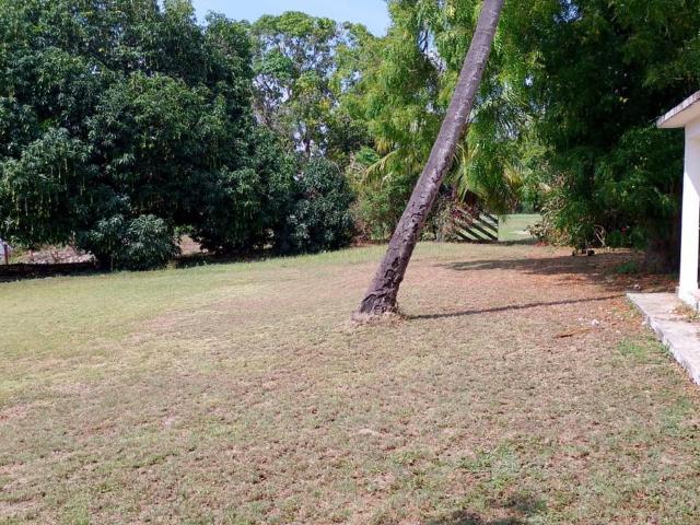 HERMOSO RANCHO EN VENTA 41.5 HAS. CON 1.2 KM DE FRENTE AL R?O TAMESI, GONZALEZ, TAM