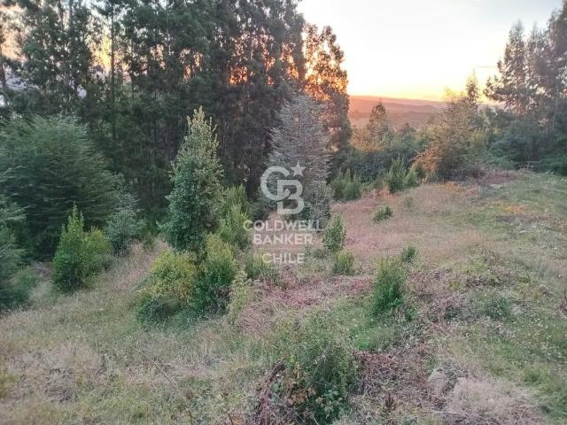 Hermoso terreno con vista al Lago Ranco | 0 dormitorios por 129000. 00 en Futrono
