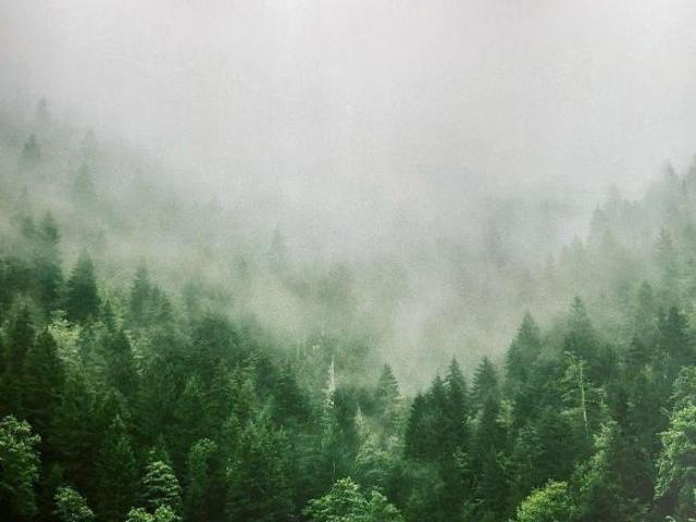 HERMOSO TERRENO EN BOSQUES DE LA CAÑADA, TAPALPA, JAL