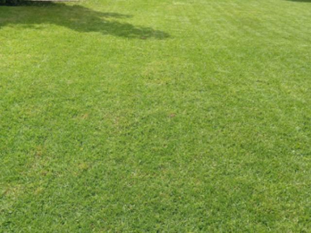 HERMOSO TERRENO EN SAN ANDRES TOTOLTEPEC TLALPAN