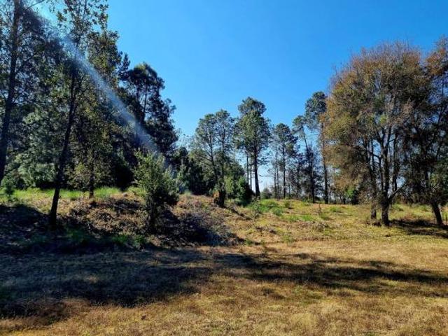 Hermoso Terreno en San Juan Amanalco
