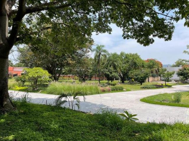 Hermosos lotes dentro de fraccionamiento con vigilancia en Jiutepec Centro