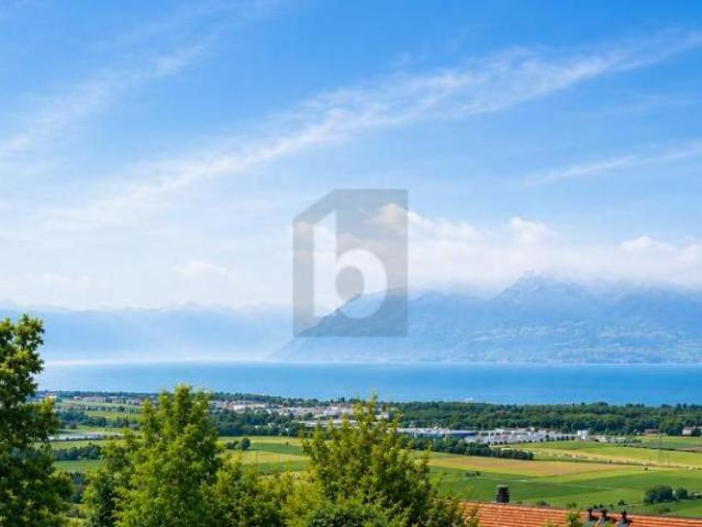 Herrlich mit Panoramablick auf den See
