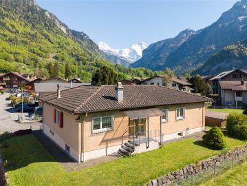 Villa kaufen in Wilderswil - Kamin