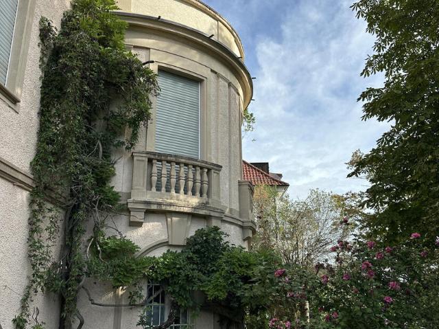 Herrschaftliche Belle Etage zur Renovierung!