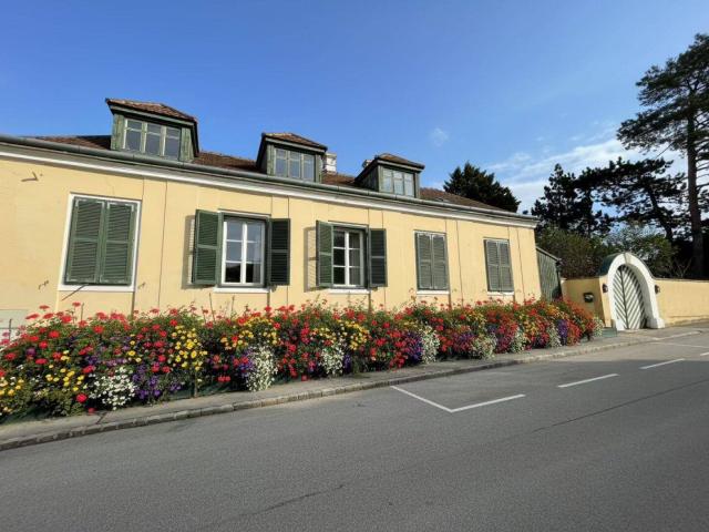 Herrschaftlicher Altbestand mit großem Baugrund in 2102 Bisamberg, Niederösterreich