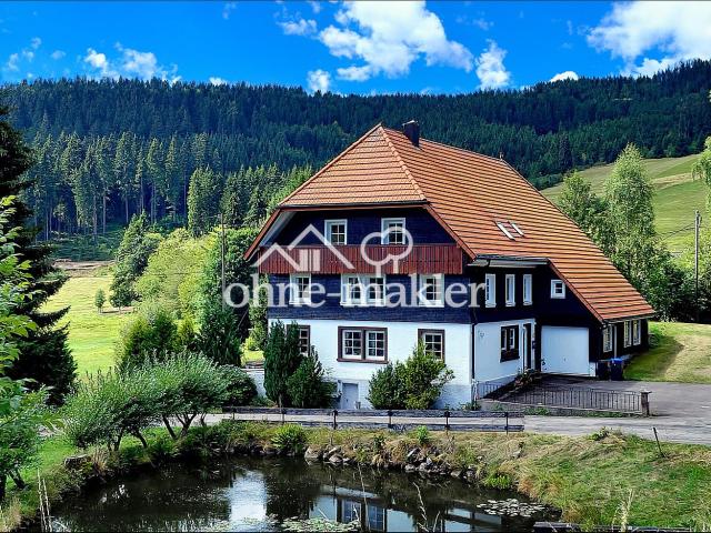 Herrschaftliches Refugium am Schluchsee: Großes Parkgrundstück & Ausbaureserve – Provisionsfrei