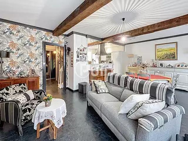 Hesdin 62140 Achat / Vente maison 10 pièces t10 terrasse cave